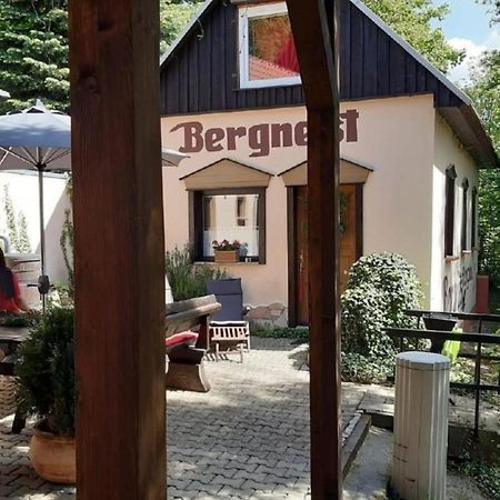 Bergnest Bungalow Bad Gottleuba Εξωτερικό φωτογραφία